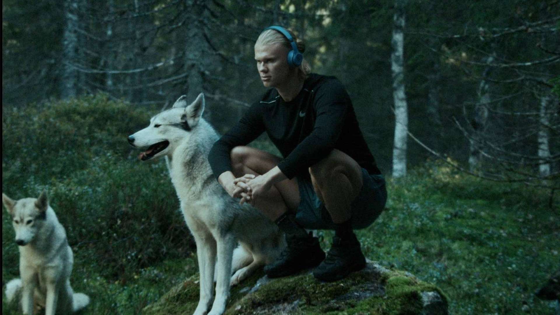 能力的全面 能力的全面